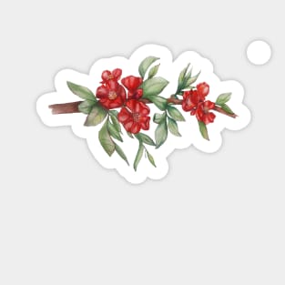 branch of japanese quince with red flowers Sticker